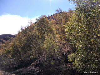 nte Corvo-01-11-2012 11-11-55